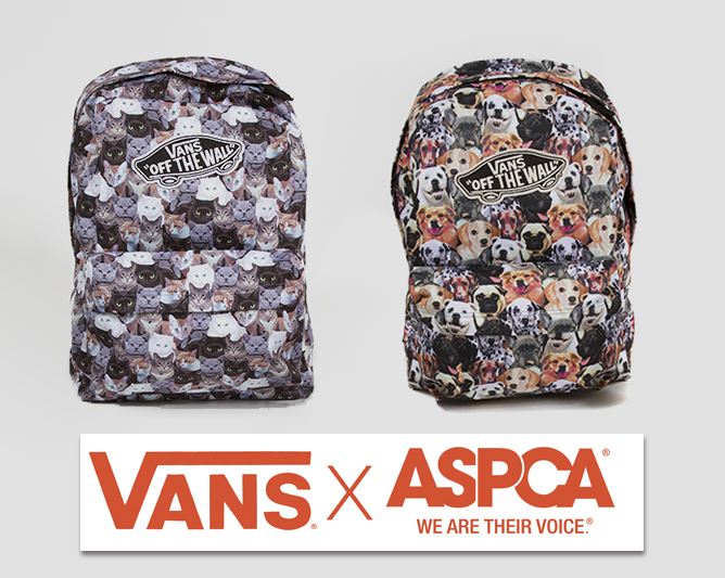 Vans shop ranac